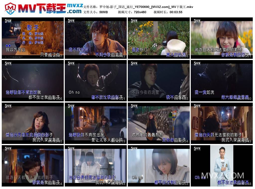罗中旭-影子_国语_流行_YE700690
